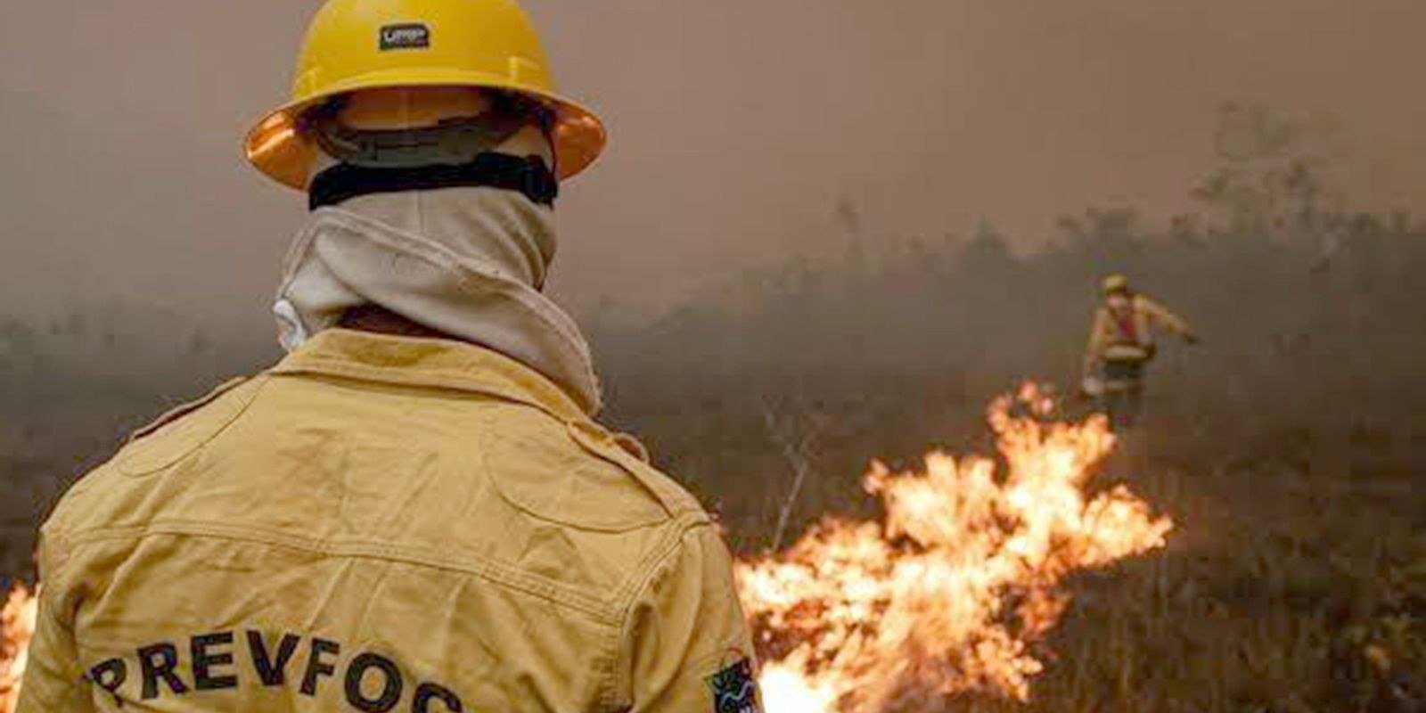 Segunda Turma do STJ admite perdimento de bem de terceiro de boa-fé em infração ambiental, e artigo sustenta que a sanção real não dispensa culpa
